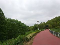 -石塘人家