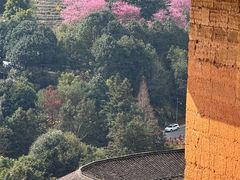 -南靖田螺坑土楼群景区