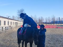 -北京群众马术培训基地