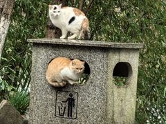 -敬亭山风景名胜区