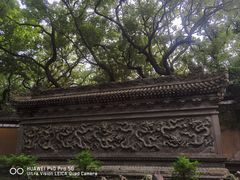 -普陀山风景名胜区-法雨禅寺
