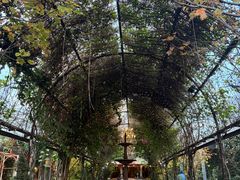 -The Grounds of Alexandria