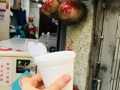 -洪馨椰子