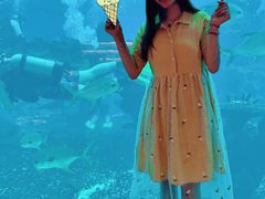 -海棠湾洲际-涛·海底餐厅·美人鱼·自助餐·海底隧道
