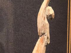 -甘肃省博物馆