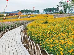 -洪湖湿地生态园