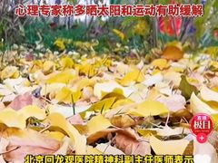 -上海嘉宁·心理咨询中心