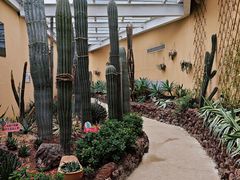 -正佳雨林生态植物园
