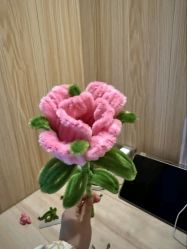 -中法母婴月子中心(南湖创始店)