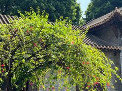 -民信老铺(华盖路店)