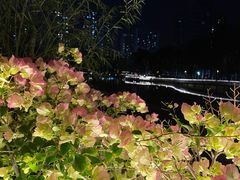 -四海公园(南山区)