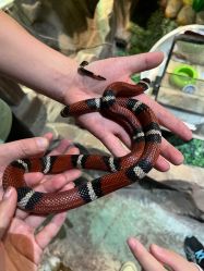 -酷嗒动物文化乐园(cutezoo西溪乐天城店)