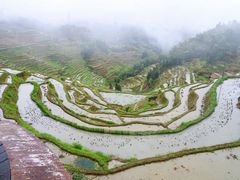 -紫鹊界梯田景区