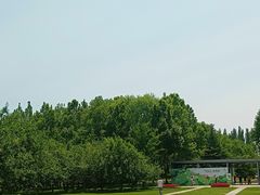 -大望京公园