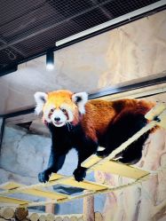 -Zoolung Zoolung动物主题公园(海信广场店)