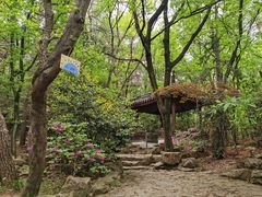 -虞山风景区