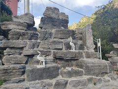 -大岭沟猕猴桃谷风景区