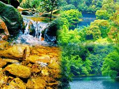 -鼎湖山风景区