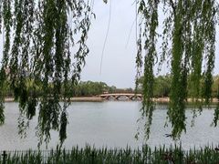 -陶然亭公园