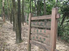 -火炉山森林公园