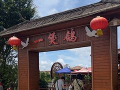 -一煲鸽