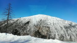 -大秃顶子山