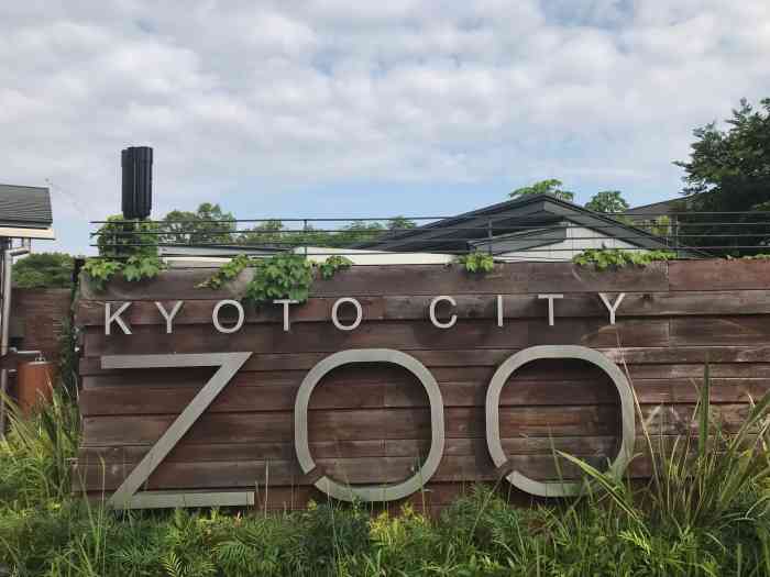 京都市动物园-"京都动物园并不经常出现在京都的各种旅行攻.