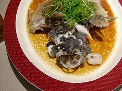 -圆苑(静安寺店)