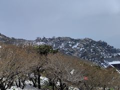 -泰山风景名胜区