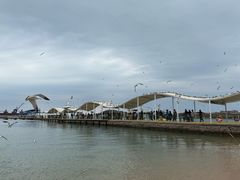 -海驴岛(荣成市)