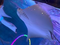 -沈阳海洋探索中心