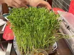 -磁器铜锅涮肉(交大东路店)