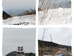 -武陵山森林公园
