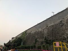 -杨震卤菜旗舰店