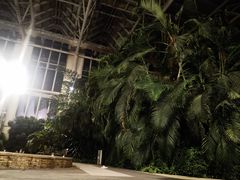 -中家鑫园温泉酒店鑫悦汤泉