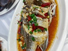 -阿军排档·烧烤