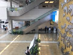 -浙江大学医学院附属邵逸夫医院(钱塘院区)