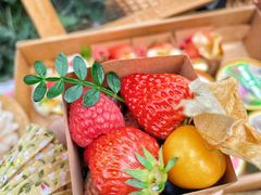 -花花卷卷·鲜食蛋糕(静安久光百货店)