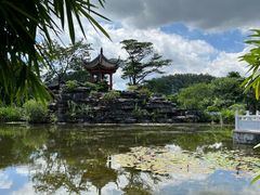 -顺峰山公园