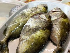 -蚝乡农庄(铁涌赤岸店)