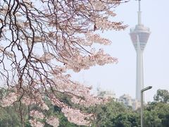 -红星桥(地铁站)
