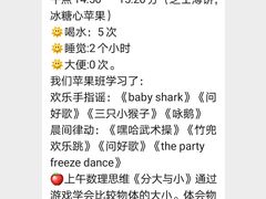 -上海松江区爱乐祺托育园