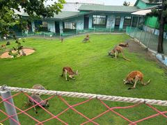 -西霞口神雕山野生动物世界