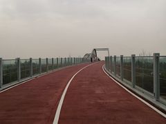 -白鹭湾湿地公园