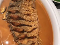 -阿五黄河大鲤鱼(海尚店)