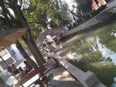 android_upload_pic-练塘古镇