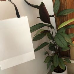-OOAK设计师品牌概念店(新乐路店)