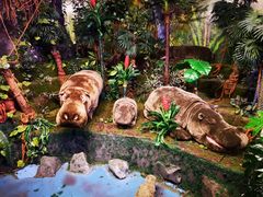 -济州岛泰迪熊博物馆