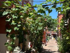 -老婆婆炒饭(小白楼1902欧式风情街店)