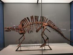 -湖南省地质博物馆